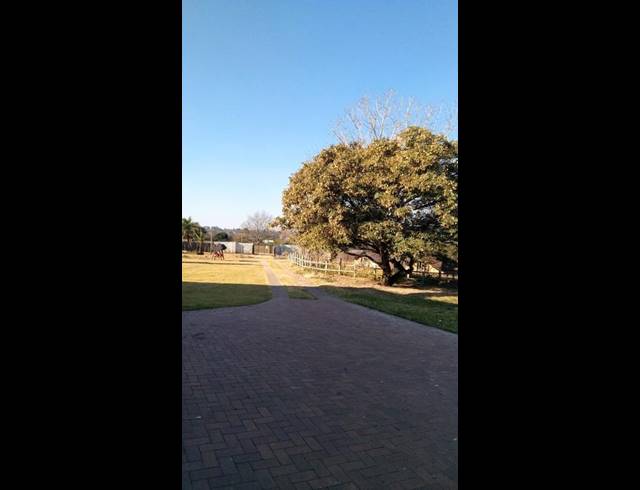 6 BEDROOM HOUSE FOR SALE IN ALLANDALE